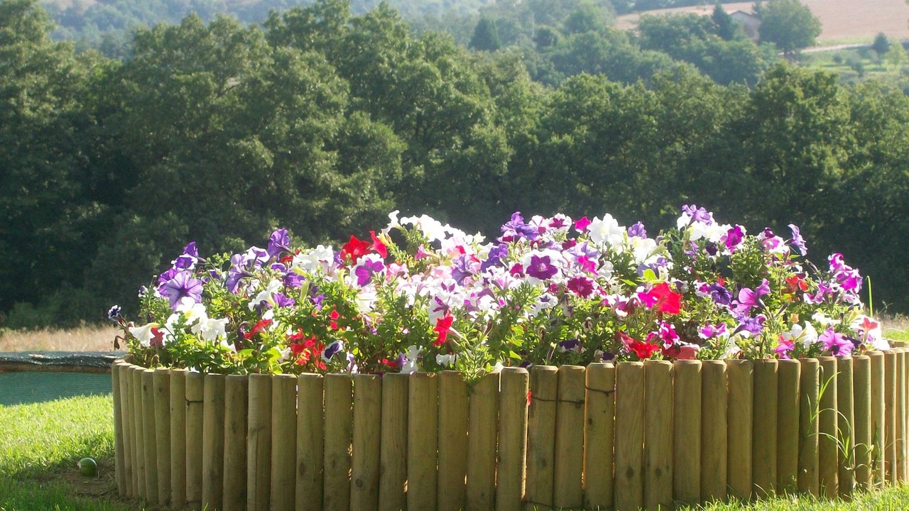 Photo of Outdoor in Deruta