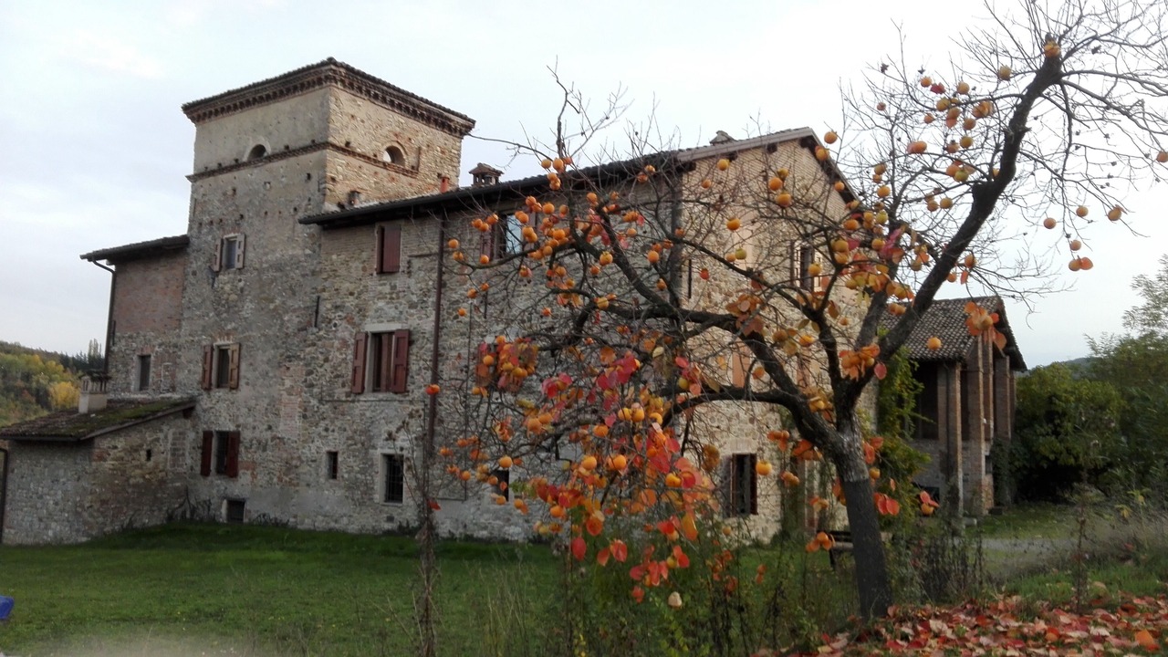 Photo of Outdoor in Zappolino