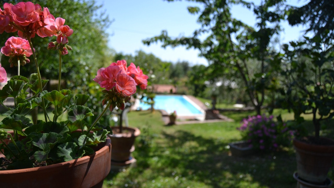 Photo of Outdoor in Castelnuovo Berardenga