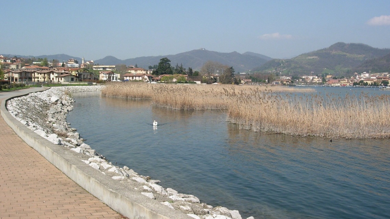 Photo of Others in Paratico