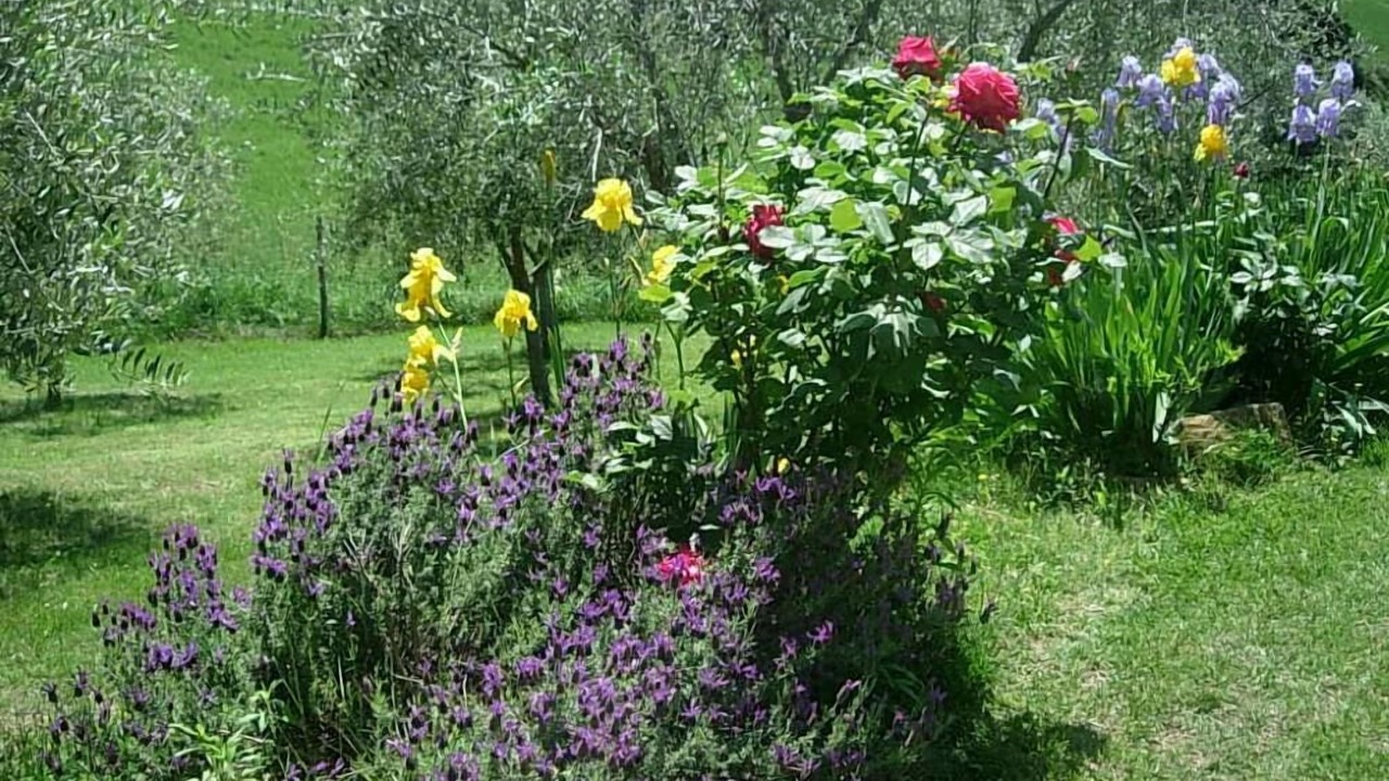 Photo of Outdoor in Serrungarina