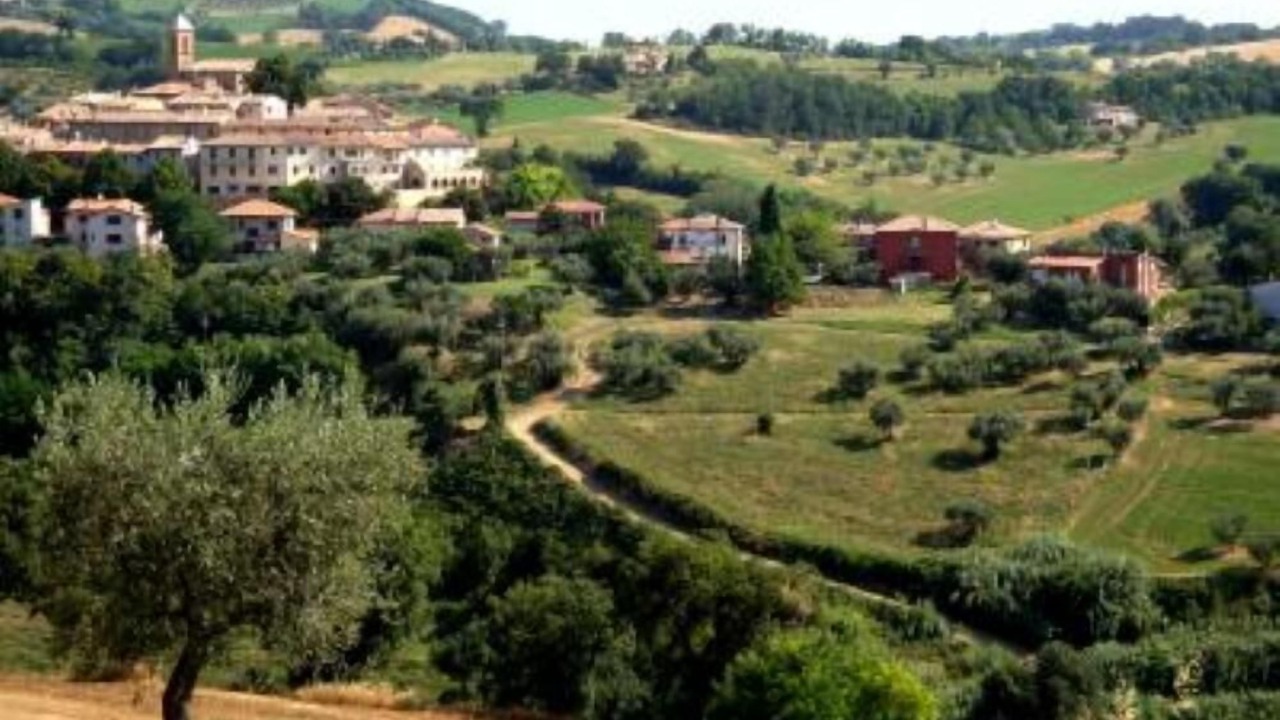 Photo of Others in Serrungarina