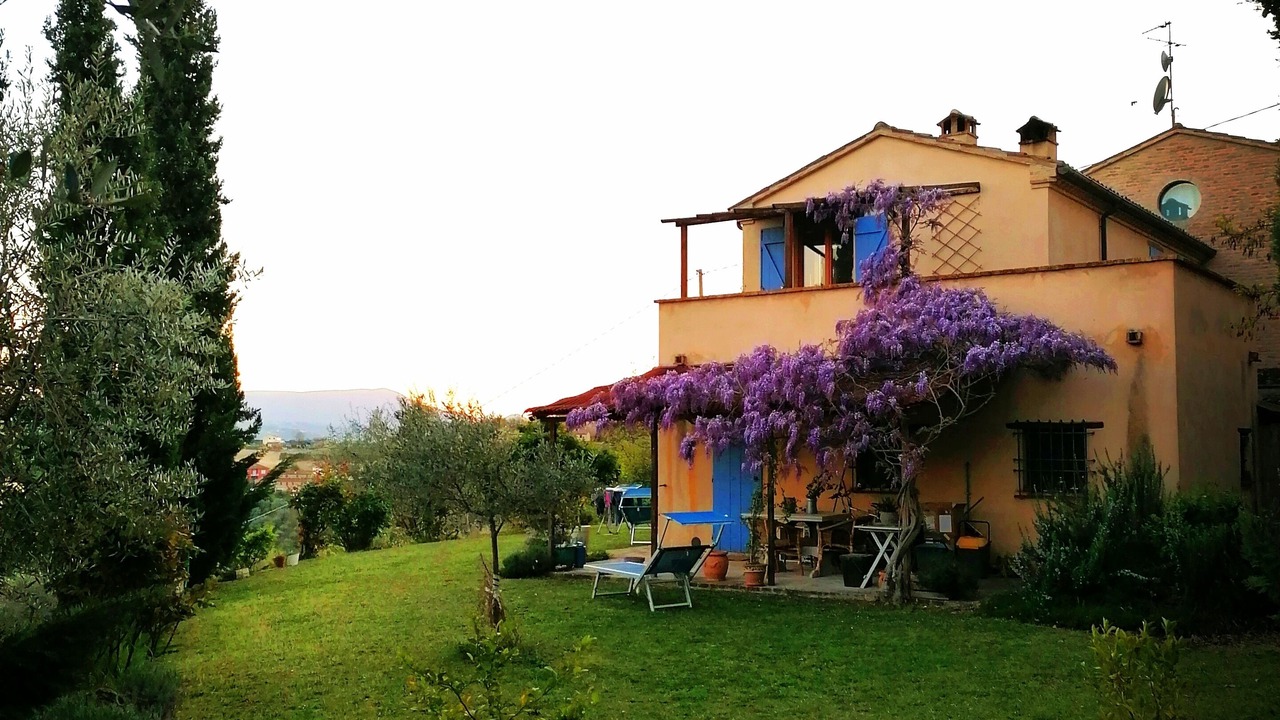 Photo of Outdoor in Serrungarina