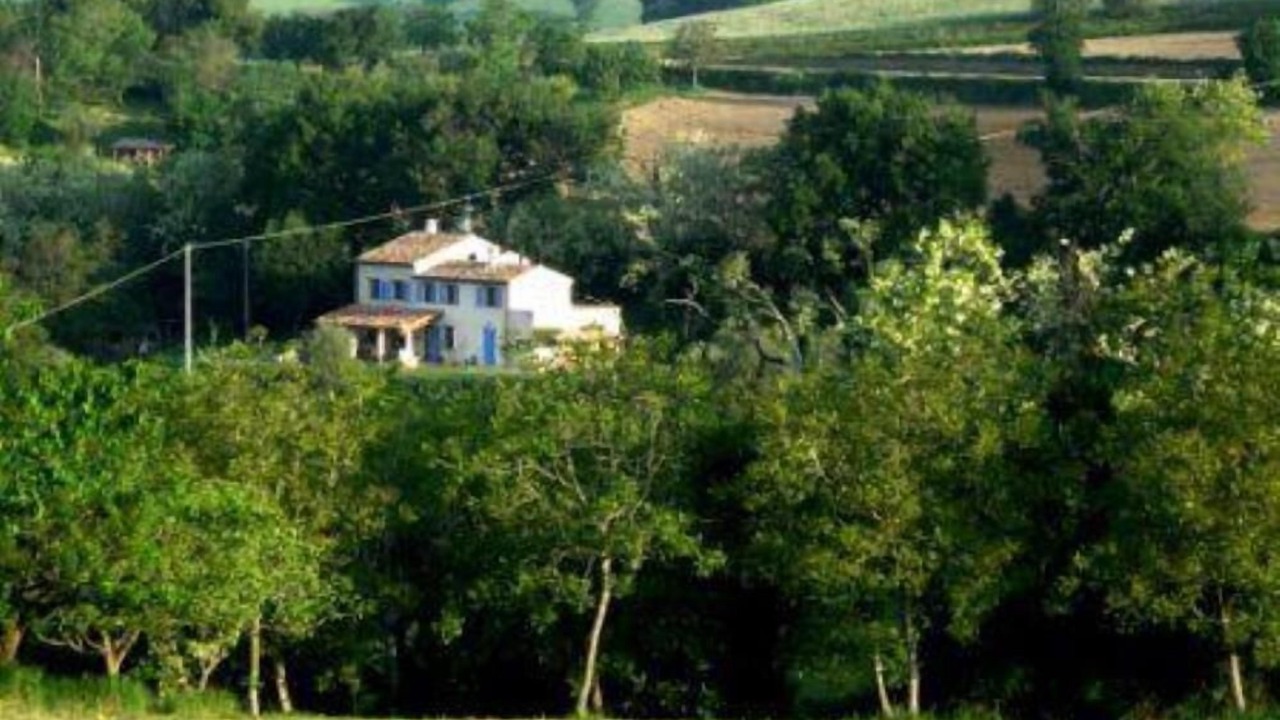 Photo of Outdoor in Serrungarina
