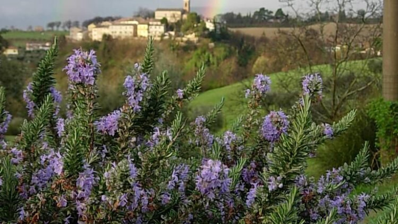 Photo of Outdoor in Serrungarina