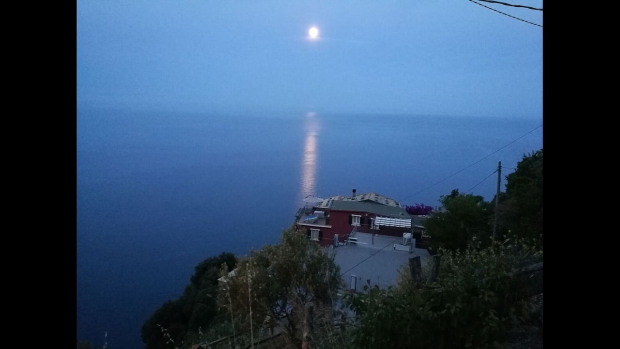Photo of Others in Corniglia