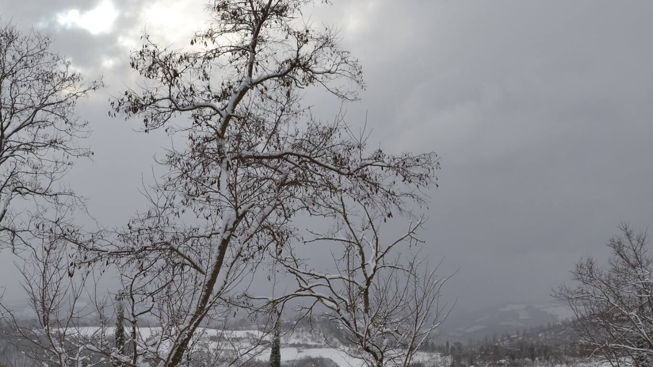 Photo of Outdoor in Monteluiano