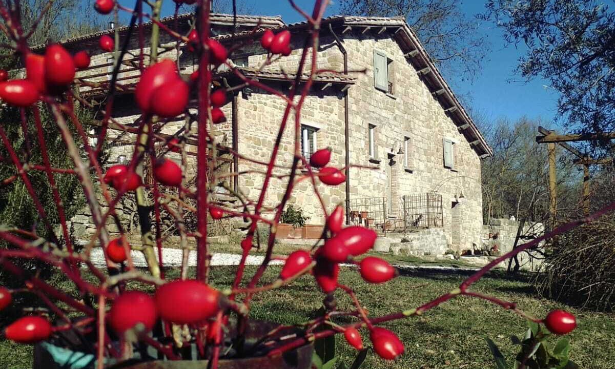 Photo of Outdoor in Monteluiano