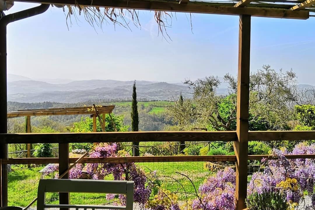 Photo of Outdoor in Monteluiano