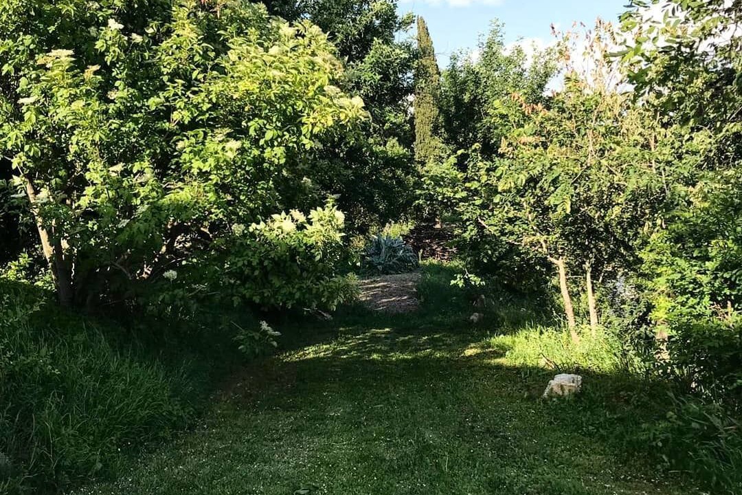 Photo of Outdoor in Monteluiano