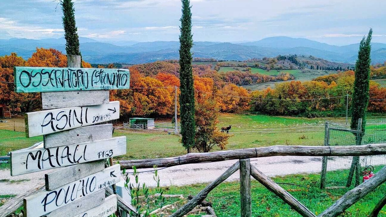 Photo of Outdoor in Monteluiano