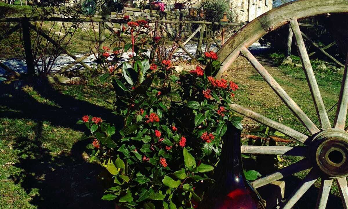 Photo of Outdoor in Monteluiano