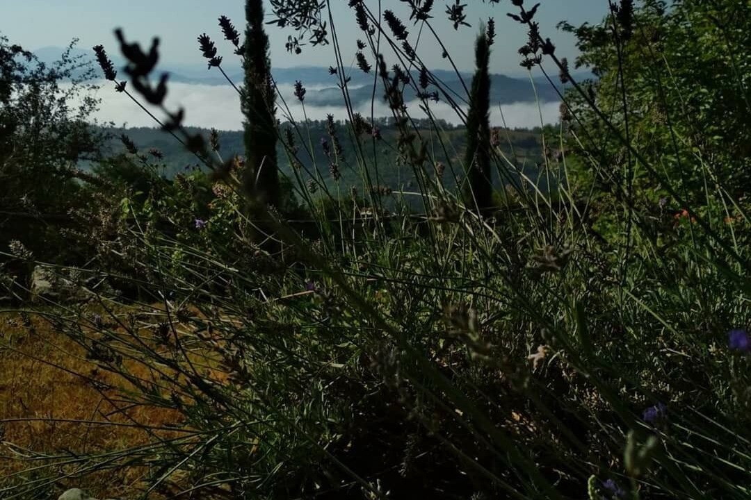 Photo of Outdoor in Monteluiano