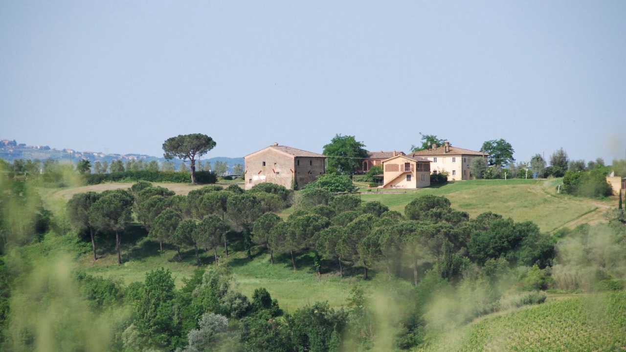Photo of Others in Castelfiorentino