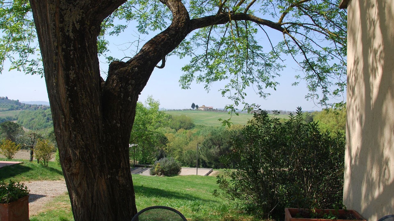 Photo of Others in Castelfiorentino