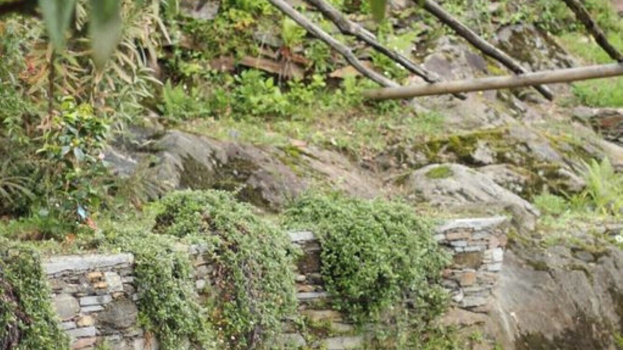Photo of Outdoor in Cannobio