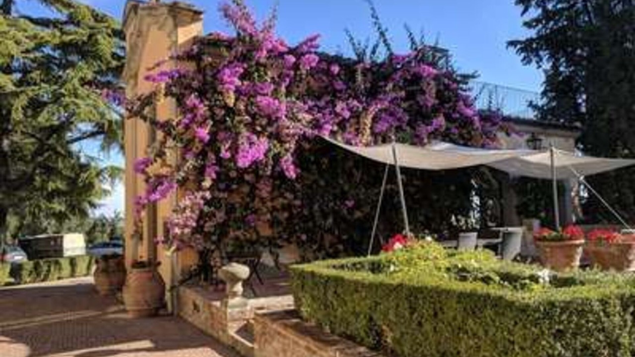 Photo of Others in Castelfiorentino