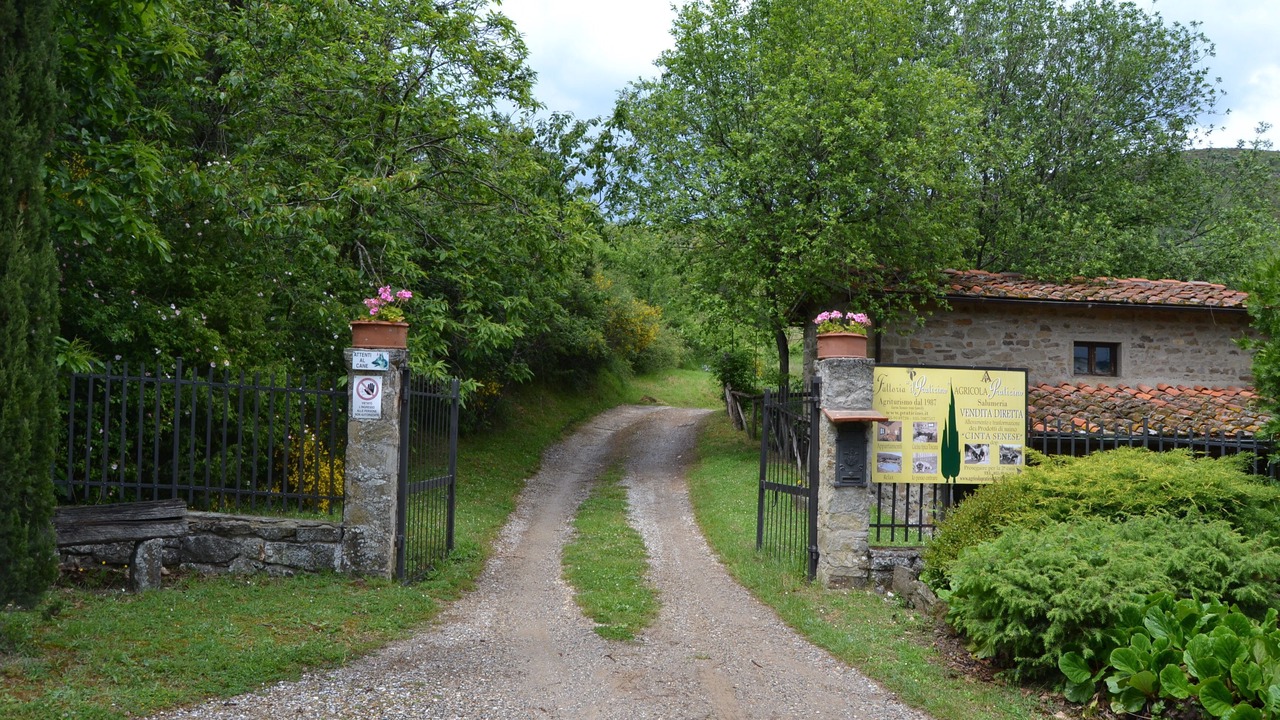 Photo of Outdoor in Castelfranco di Sopra