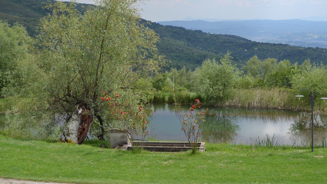 Photo of Outdoor in Castelfranco di Sopra