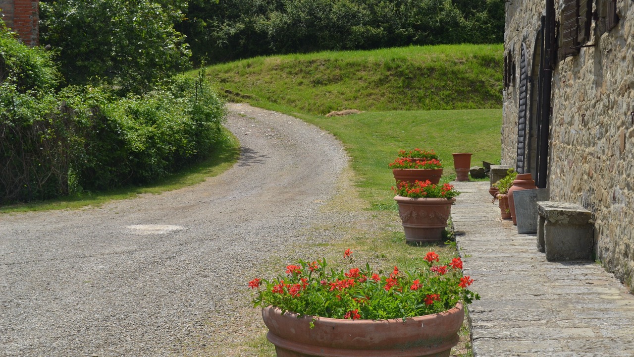 Photo of Outdoor in Castelfranco di Sopra
