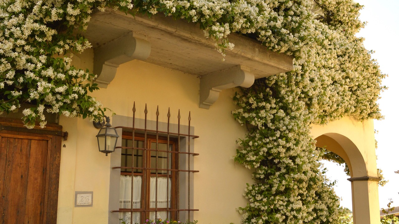 Photo of Outdoor in Gambassi Terme