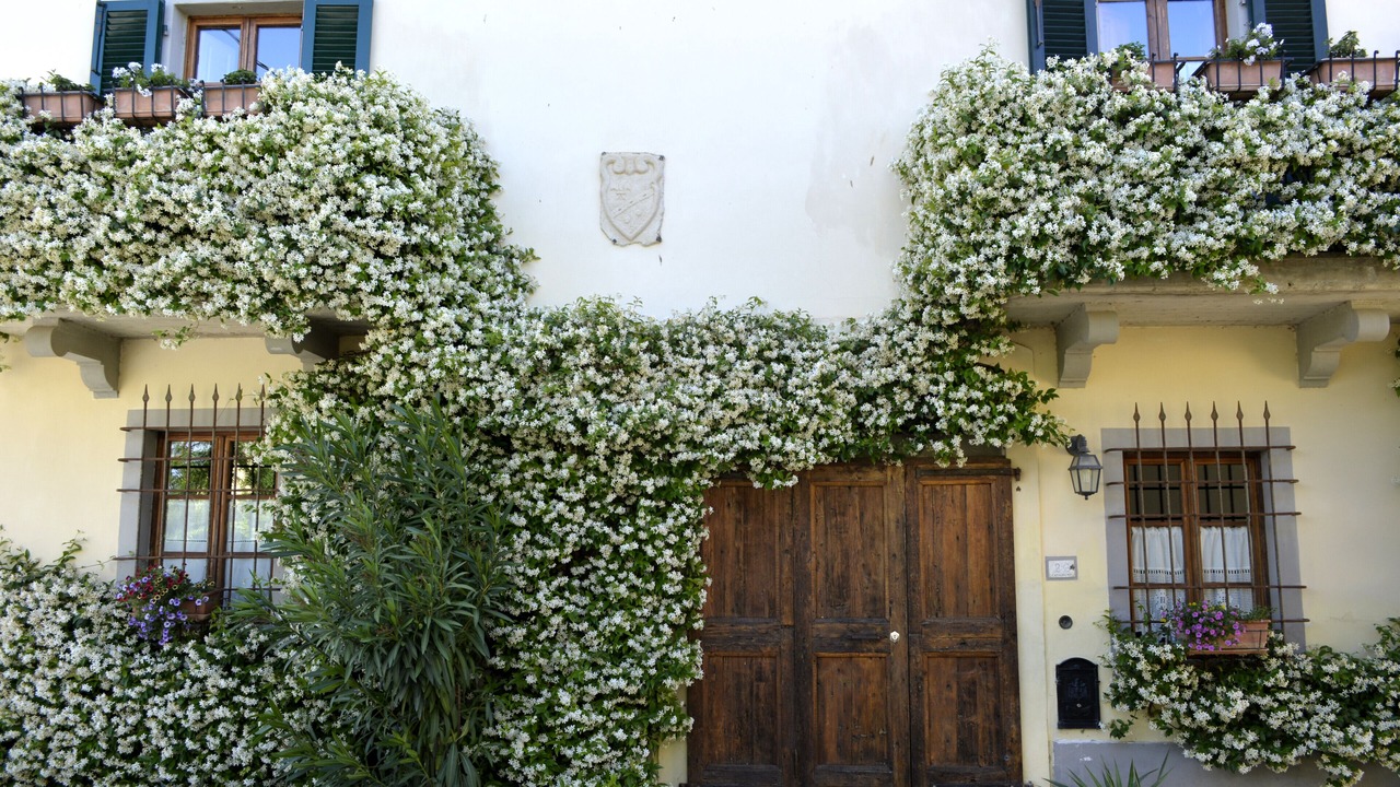 Photo of Outdoor in Gambassi Terme