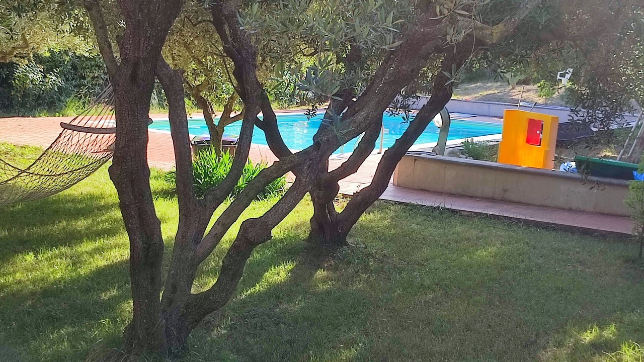 Photo of Outdoor in Grottammare