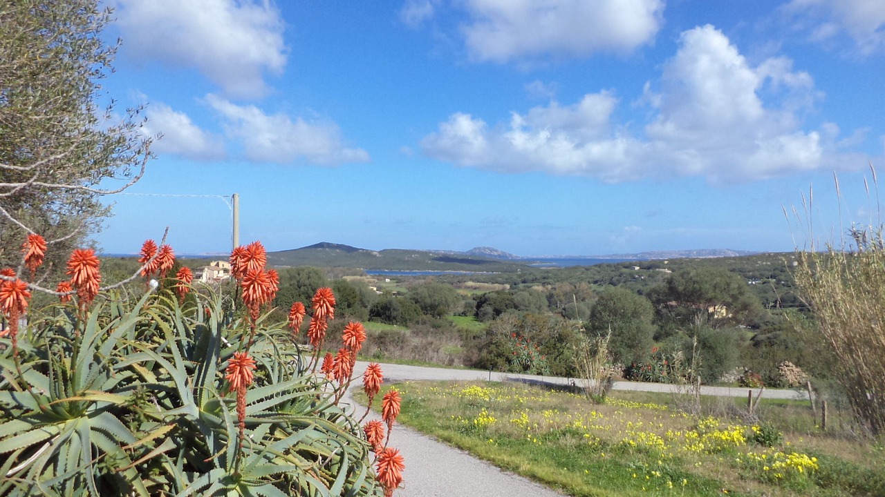 Photo of Outdoor in Santa Teresa di Gallura