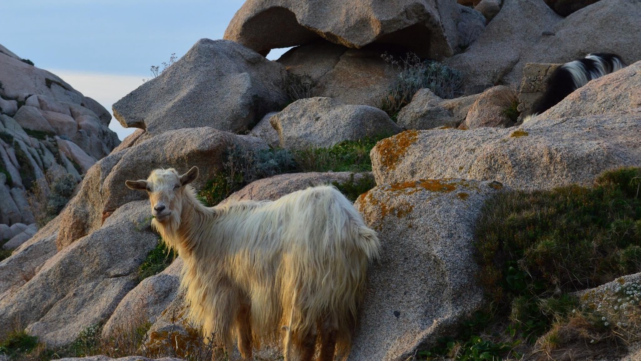 Photo of Outdoor in Santa Teresa di Gallura