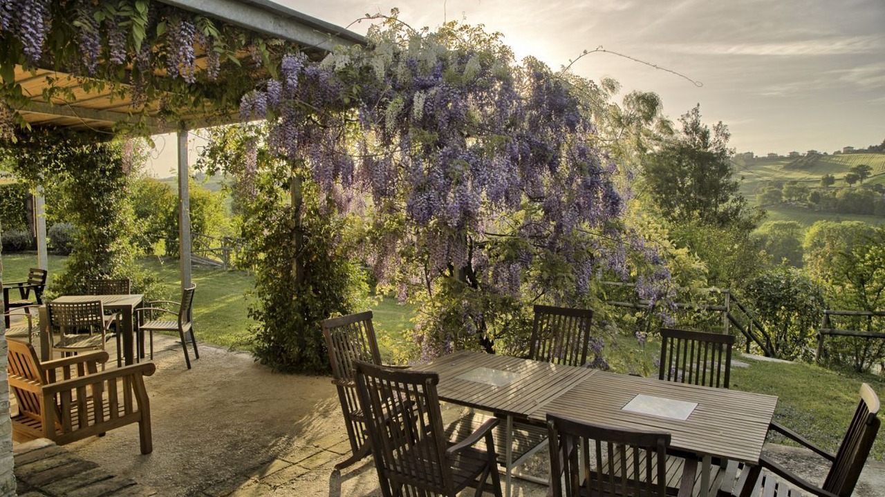 Photo of Outdoor in Ostra