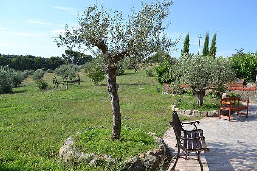 Photo of Outdoor in Montefiascone