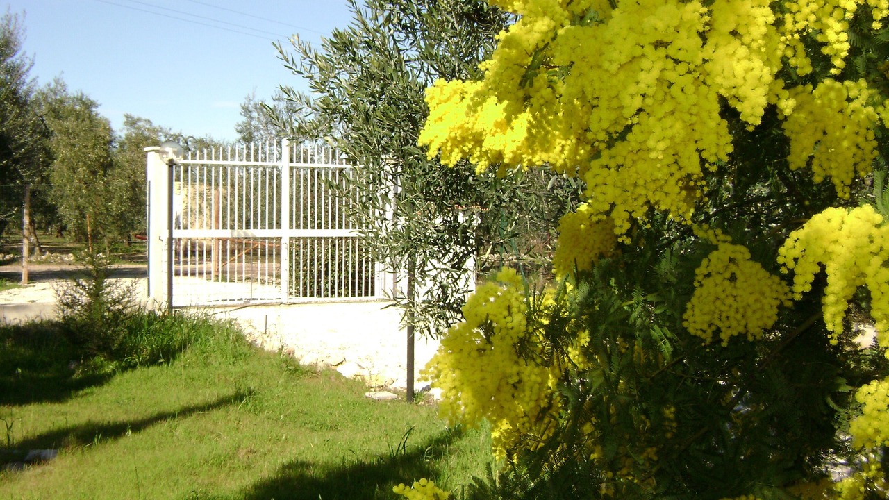 Photo of Outdoor in Trani