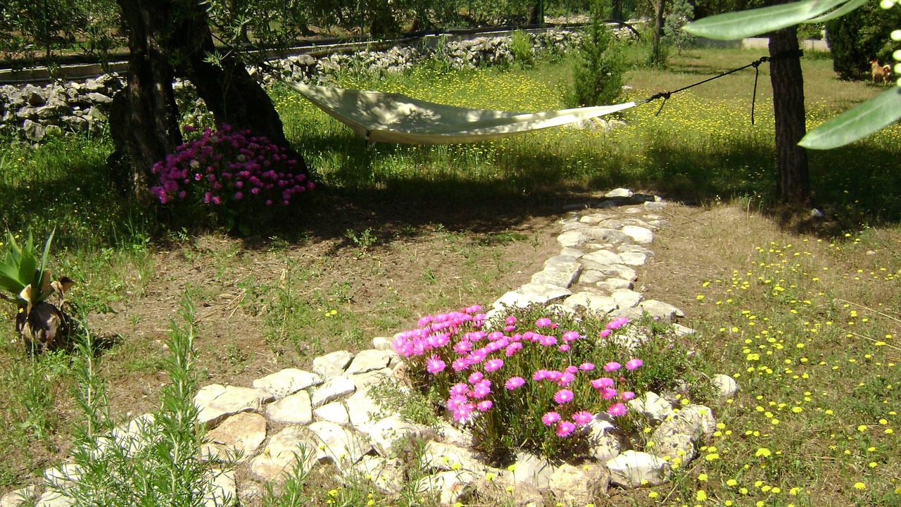 Photo of Outdoor in Trani