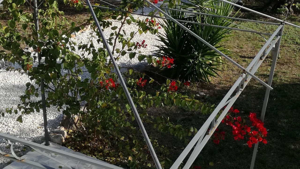 Photo of Outdoor in Trani