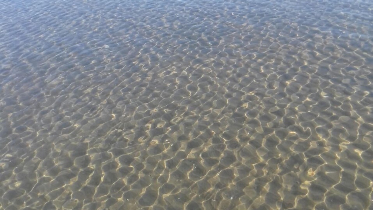 Photo of Others in Trani