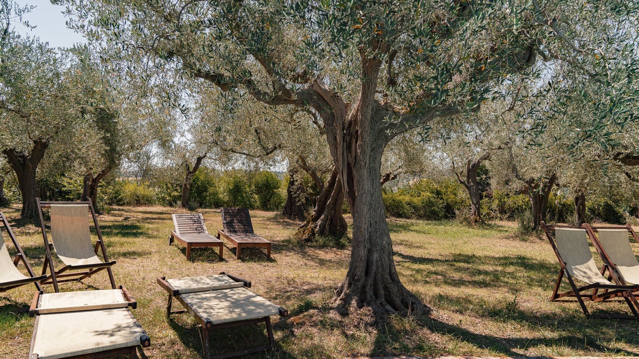 Photo of Outdoor in Santa Veneranda