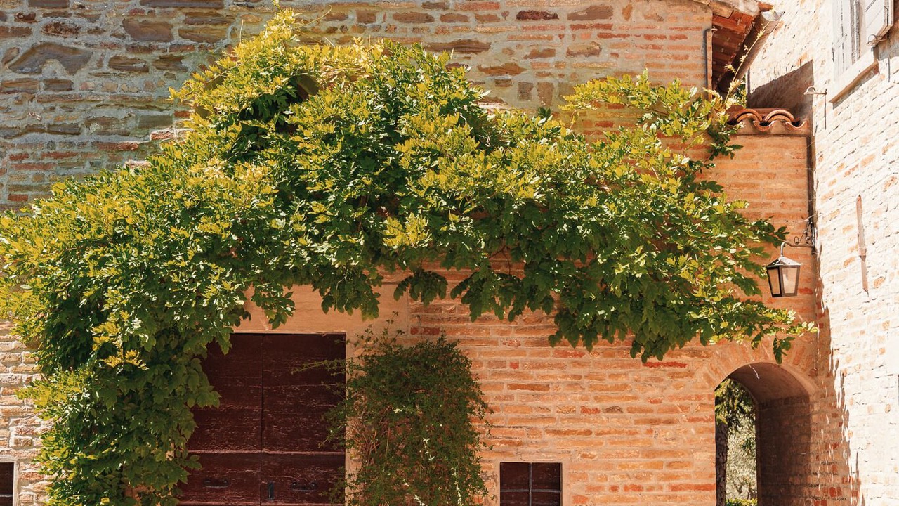 Photo of Outdoor in Santa Veneranda