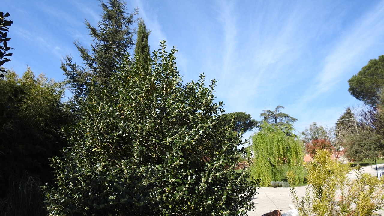 Photo of Outdoor in Fara in Sabina