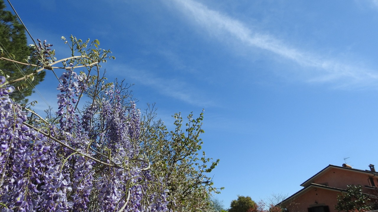 Photo of Outdoor in Fara in Sabina