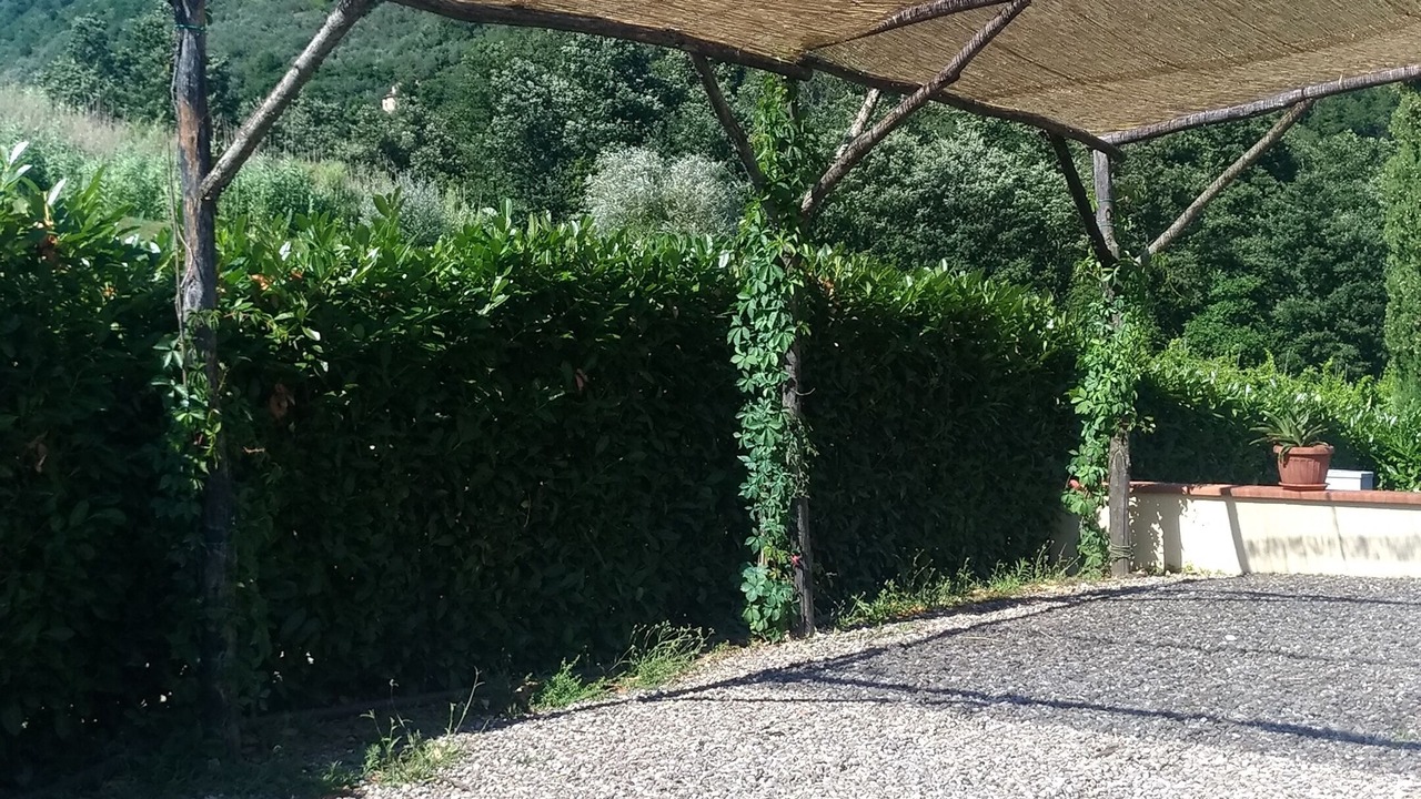 Photo of Outdoor in Borgo a Mozzano
