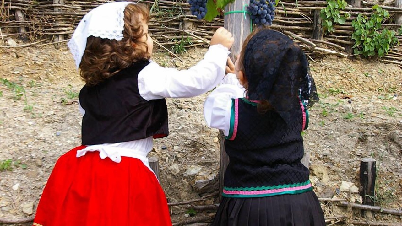 Photo of Others in Belmonte Calabro