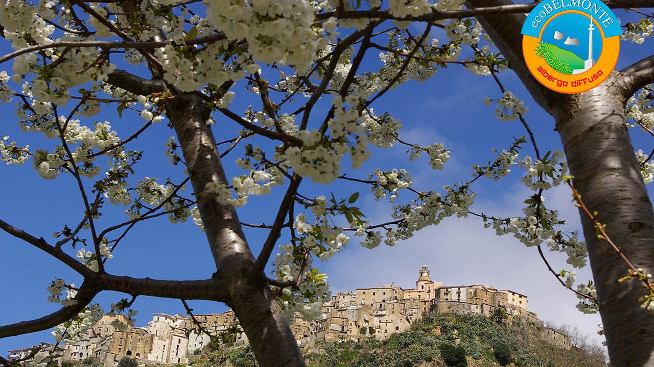 Photo of Outdoor in Belmonte Calabro