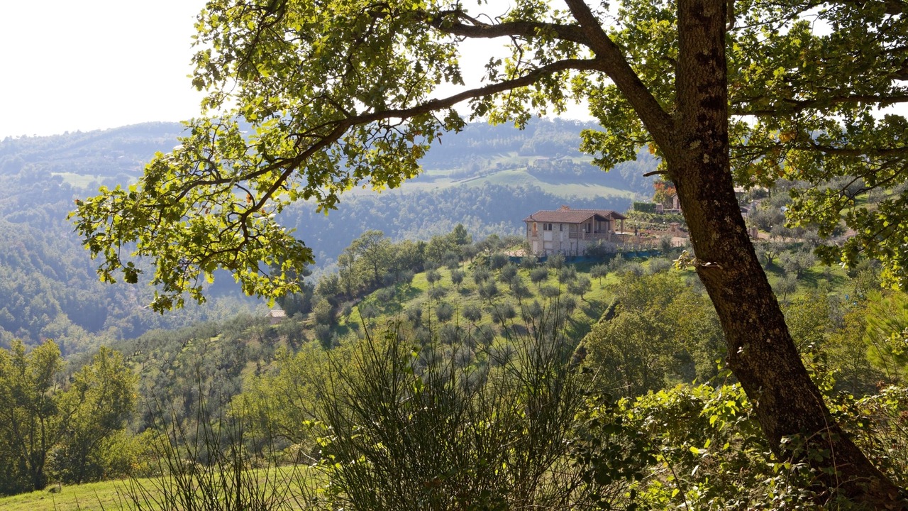 Photo of Outdoor in Gualdo Cattaneo