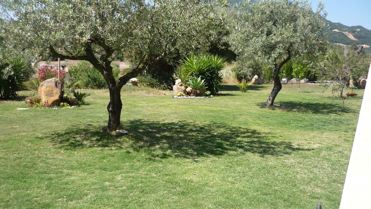 Photo of Outdoor in Pula