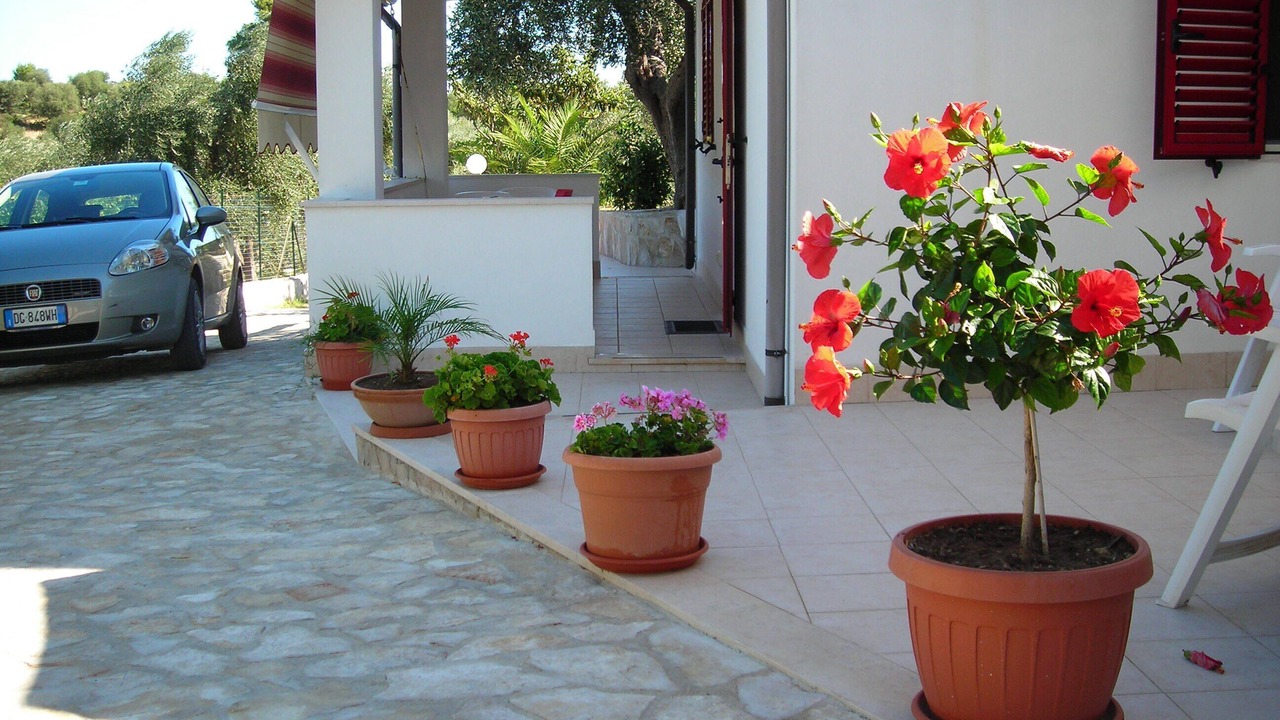 Photo of Outdoor in Defensola