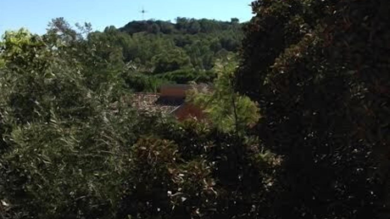 Photo of Outdoor in Solanas