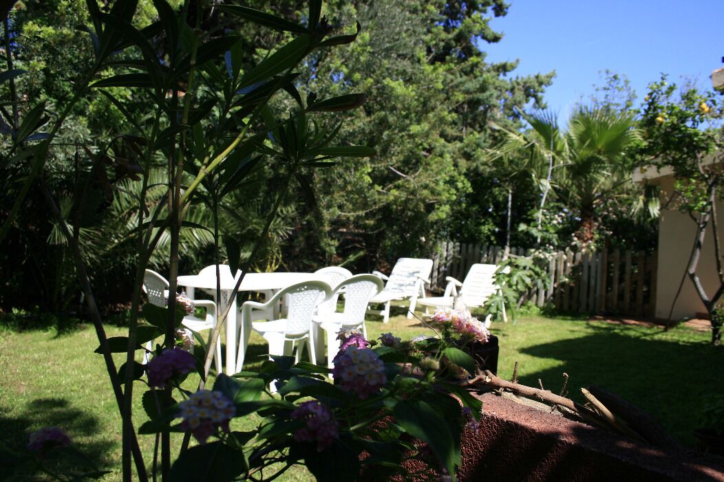 Photo of Outdoor in Solanas