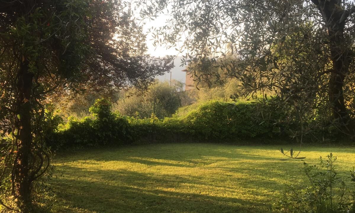 Photo of Outdoor in Torri del Benaco