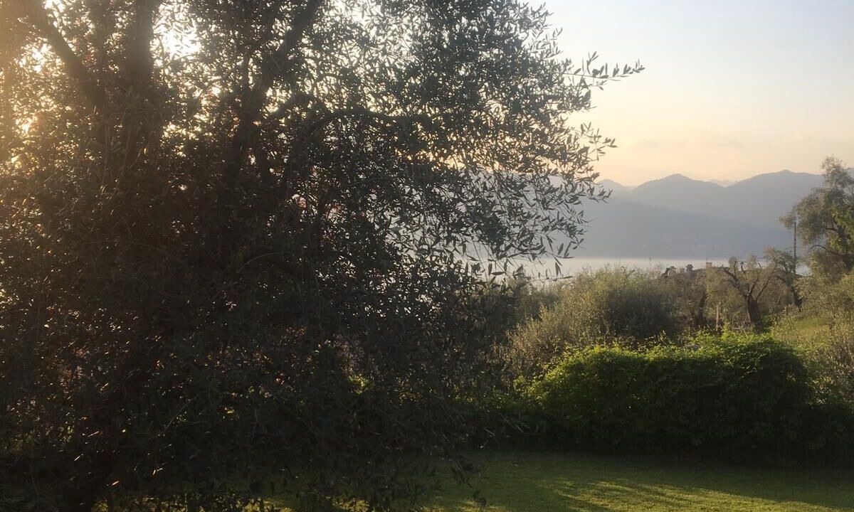Photo of Outdoor in Torri del Benaco