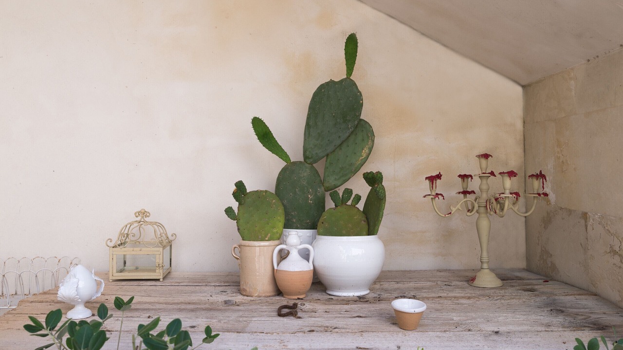 Photo of Others in Ostuni